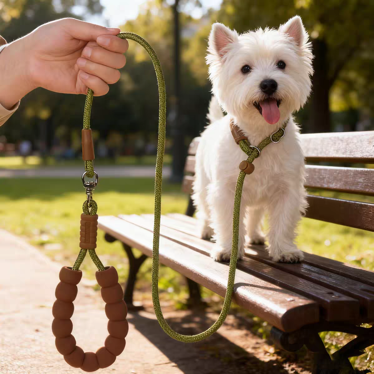 All-in-One P-Rope Viking Collar & Leash