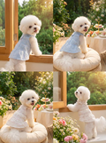 Floral Lace Tiered Dog Harness Dress