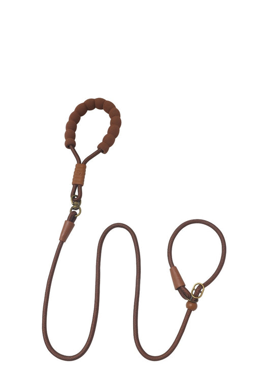 All-in-One P-Rope Viking Collar & Leash