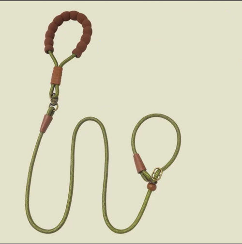 All-in-One P-Rope Viking Collar & Leash