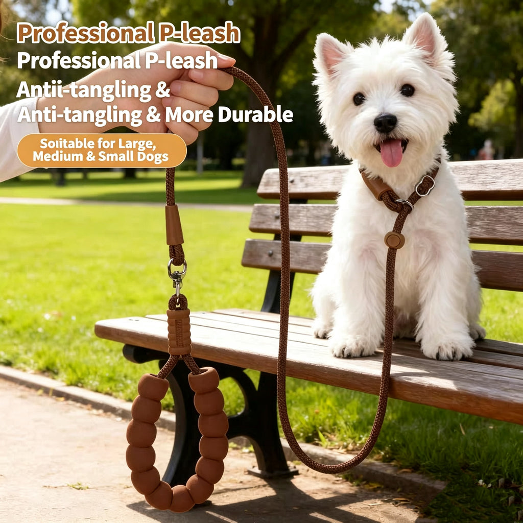 All-in-One P-Rope Viking Collar & Leash