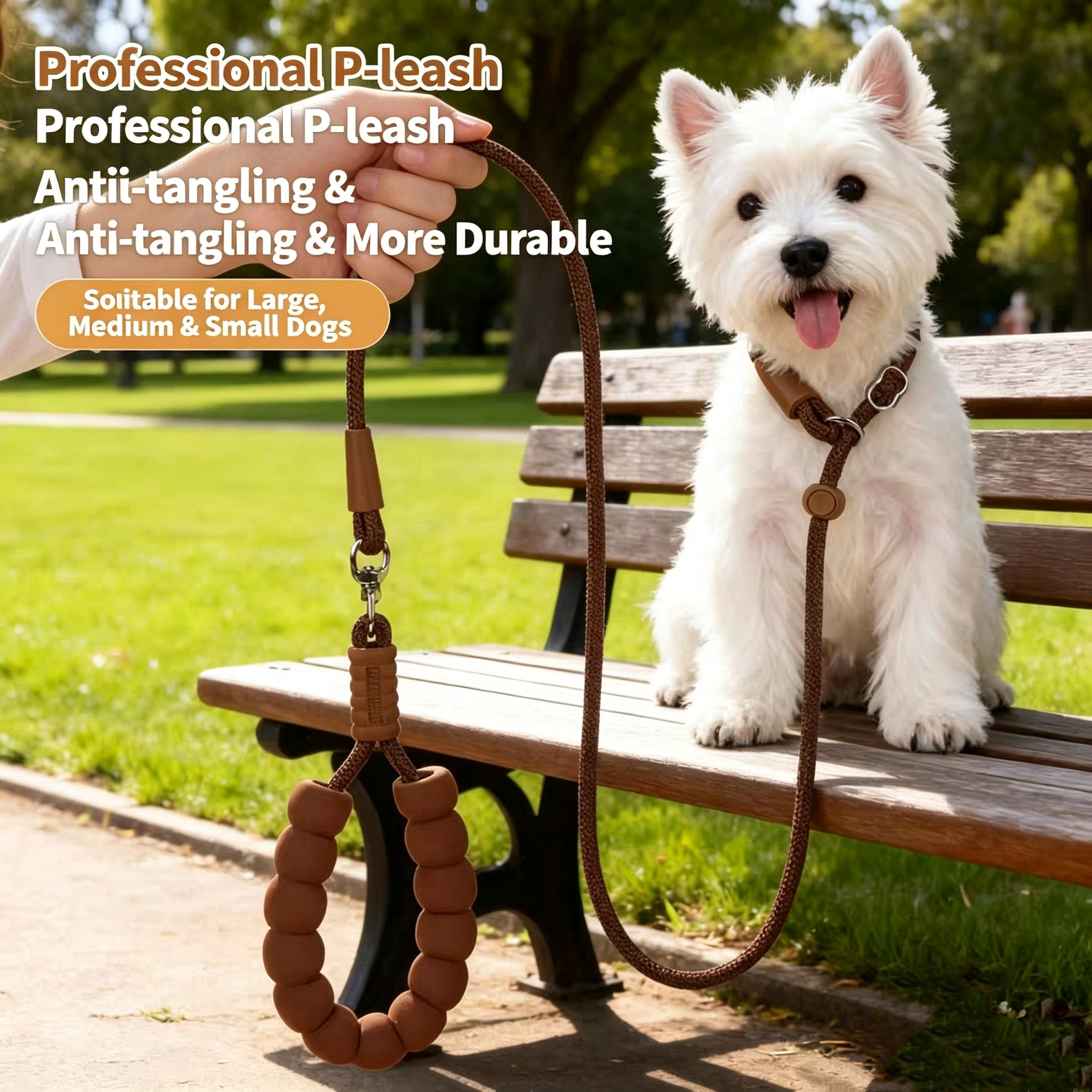 All-in-One P-Rope Viking Collar & Leash