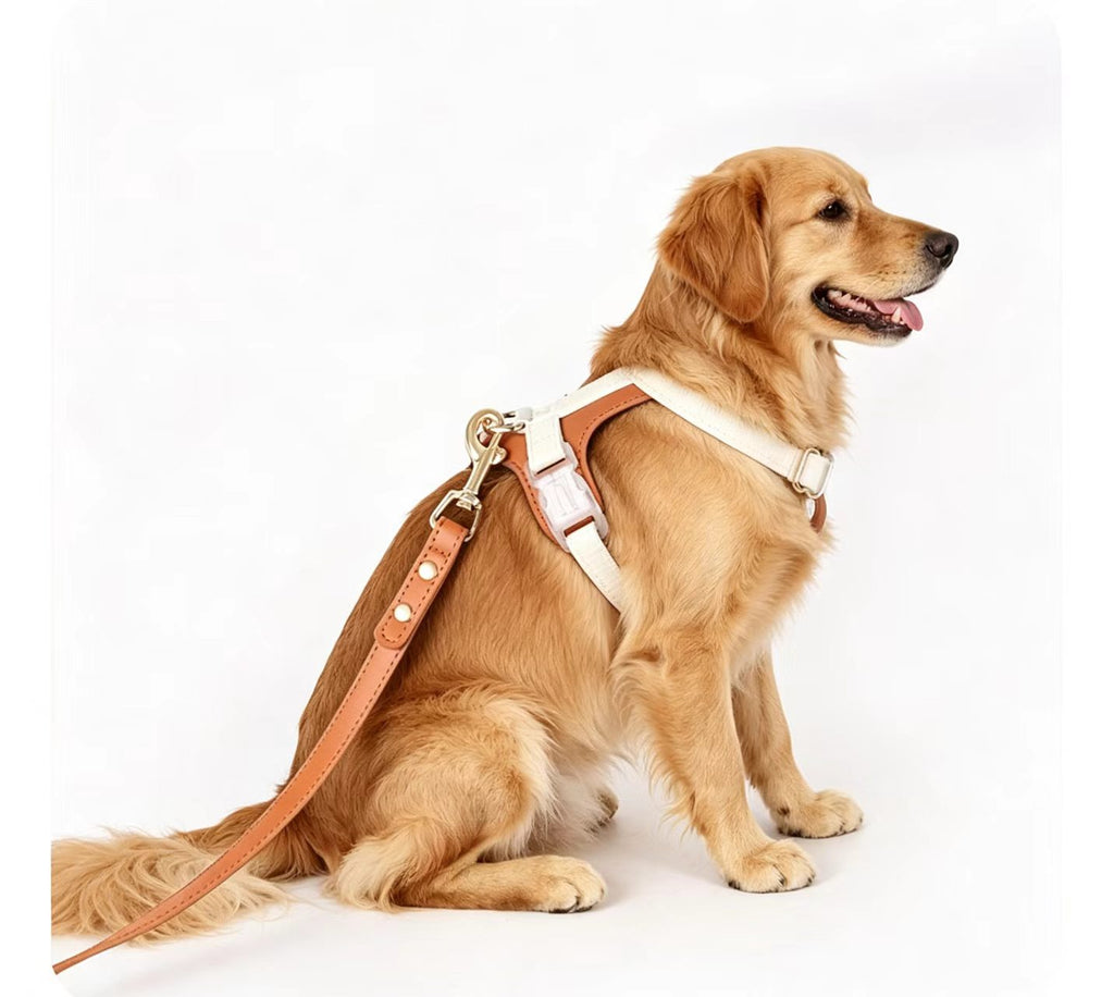 Premium Leather Dog Harness & Leash Set