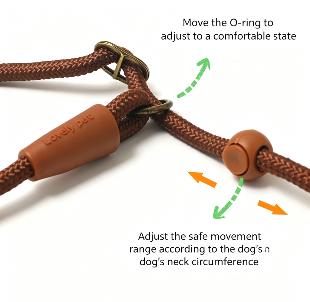 All-in-One P-Rope Viking Collar & Leash