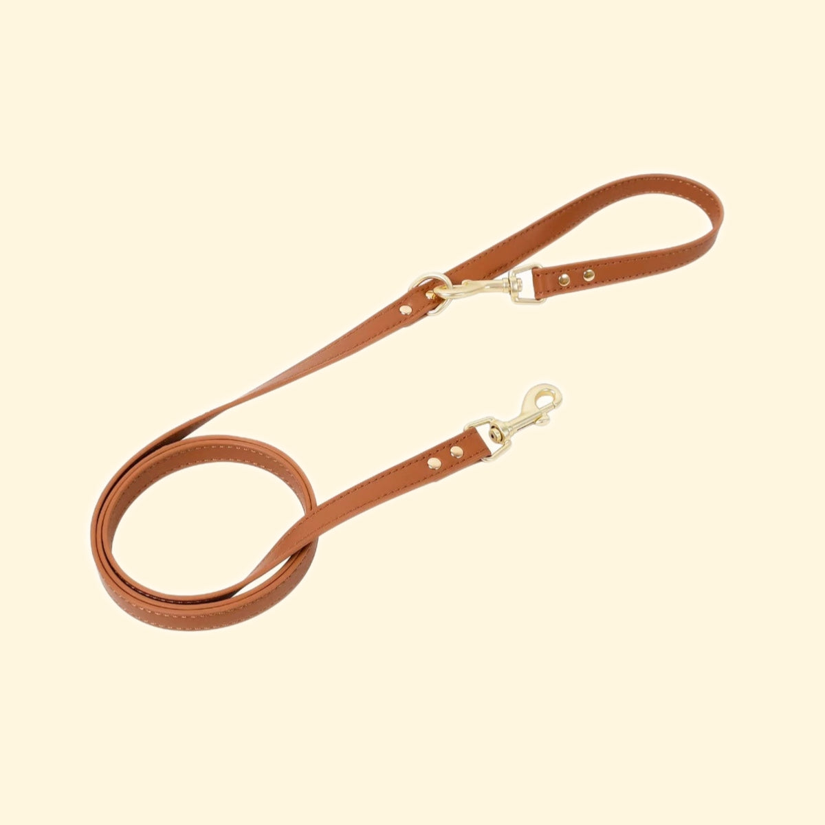 Premium Leather Dog Harness & Leash Set