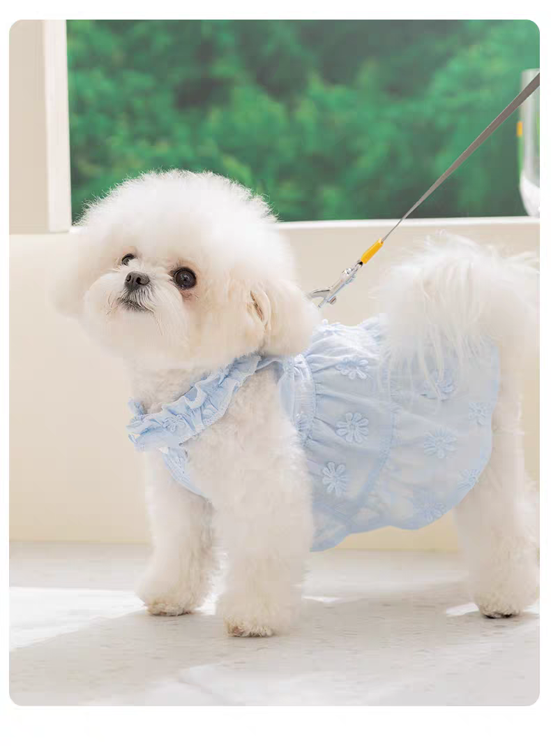 Floral Lace Tiered Dog Harness Dress