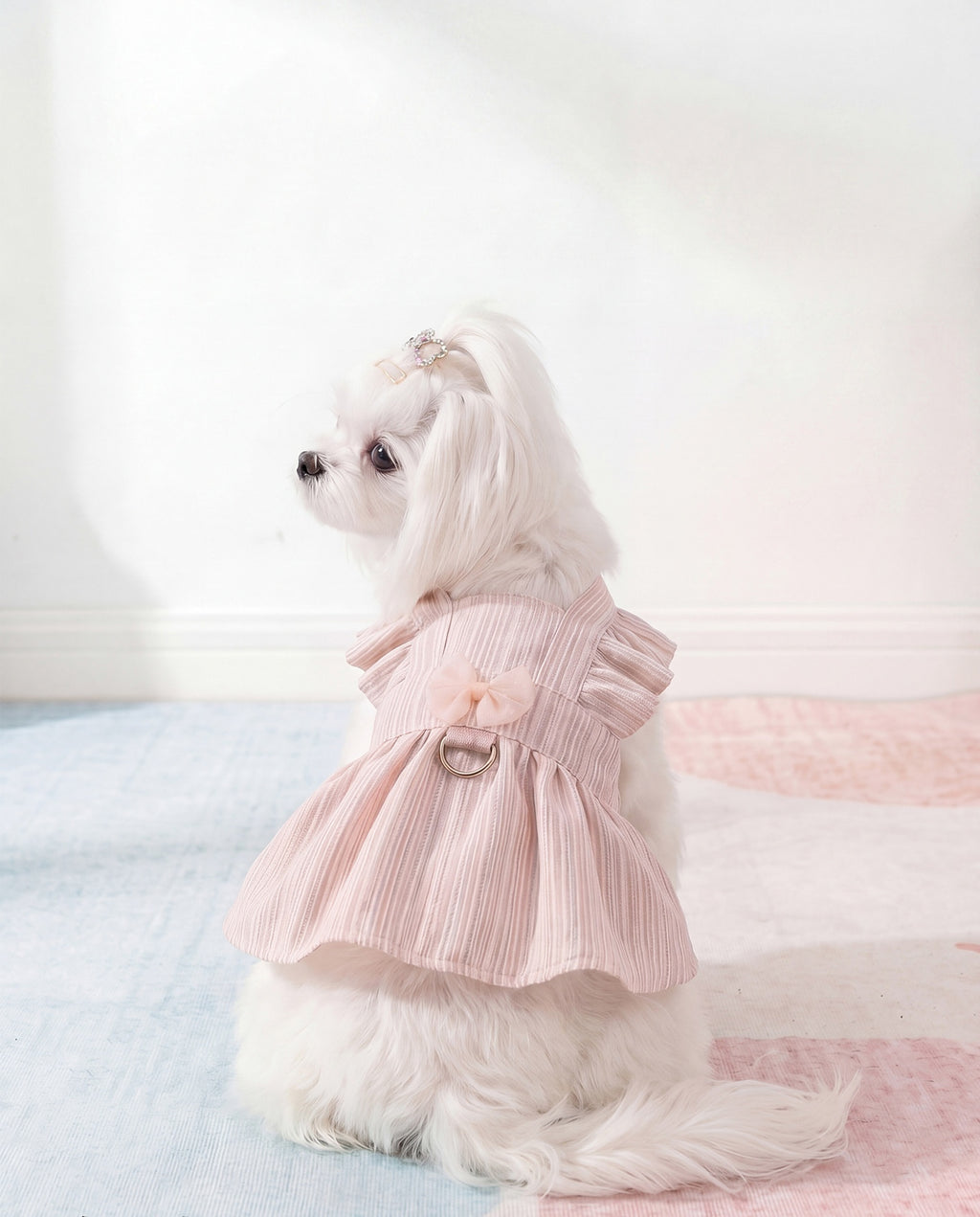 3D Ruffled Shoulder Princess Dog Dress