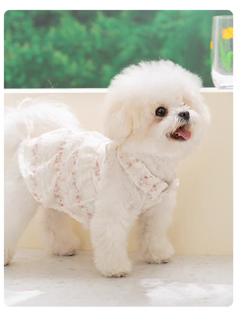 Floral Lace Tiered Dog Harness Dress