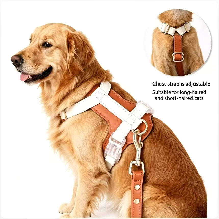 Premium Leather Dog Harness & Leash Set