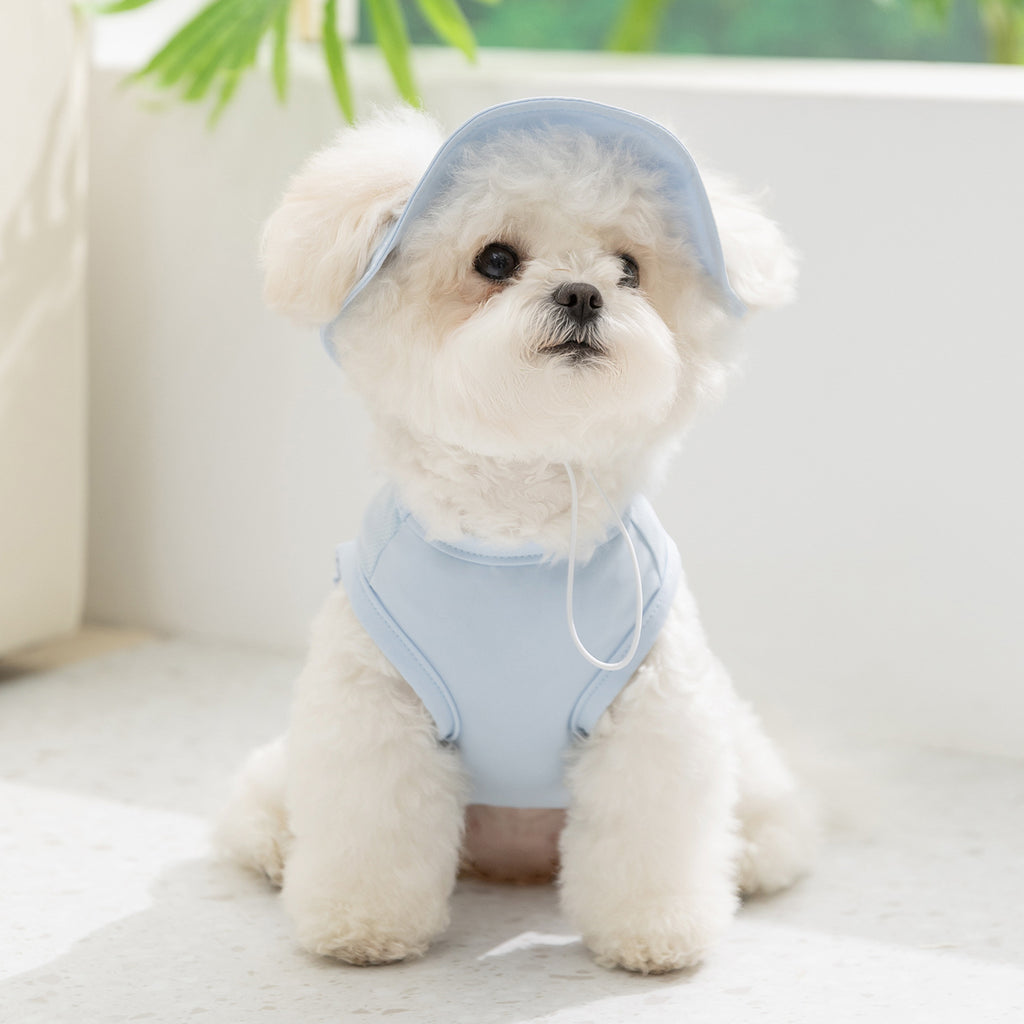 Dog Cooling Hoodie & Hat Set
