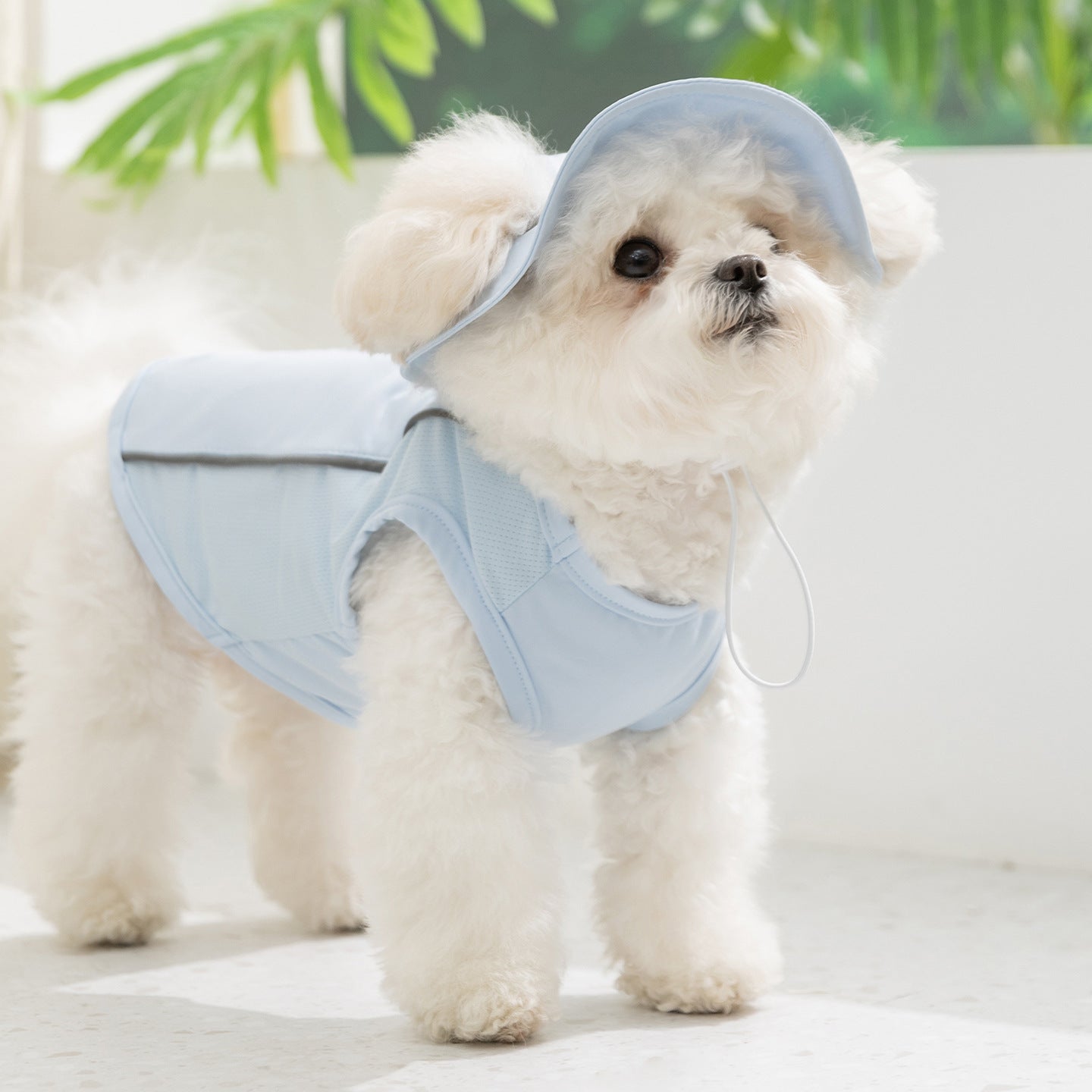 Dog Cooling Hoodie & Hat Set