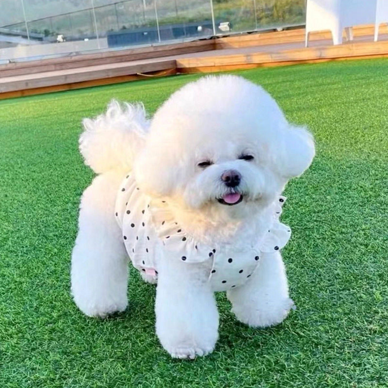 Polka Dot Ruffle Dress for Dogs
